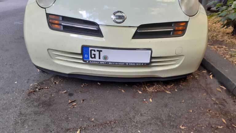 Kennzeichen GT